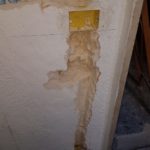 IMG-20181109-WA0067